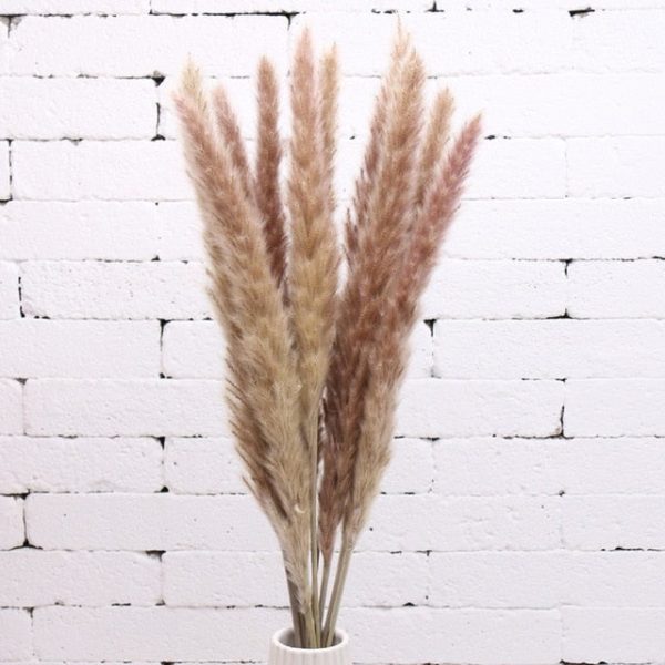 Accessories Natural Dried Flowers/Grass - Living Simply House