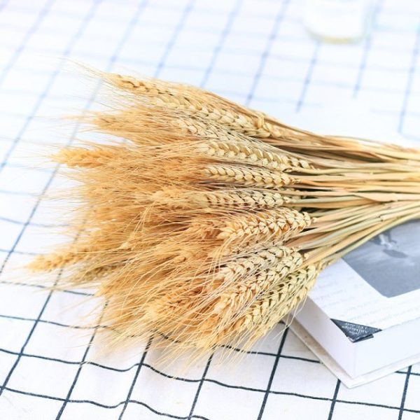 Accessories Natural Dried Wheat - Living Simply House